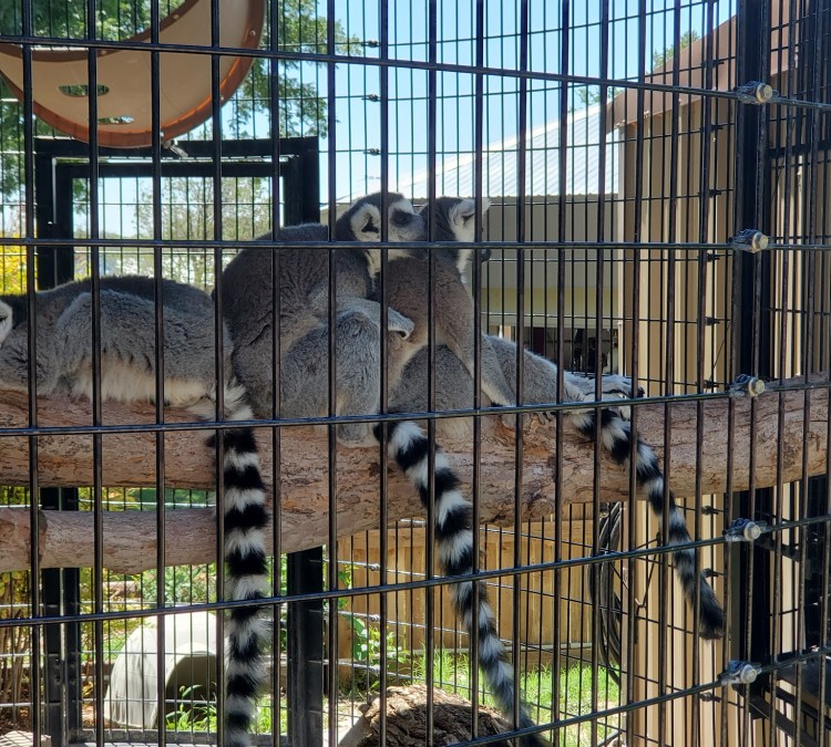 Spring River Zoo (Roswell,&nbspNM)